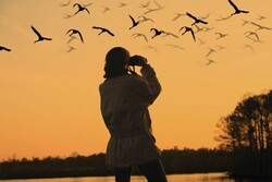 Birdwatching needs more investment to propel tourism growth: expert