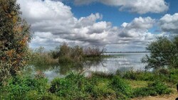 Property deeds issued for Golestan international wetlands