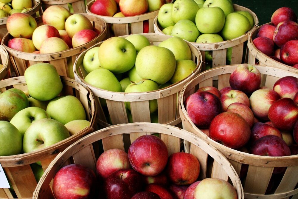 Fresh Apple Fruit, Indian