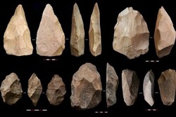 Clues about Homo erectus, extinct species of archaic humans, discovered in western Iran