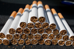 COP9 adopts WHO Framework Convention on Tobacco Control proposed by Iran