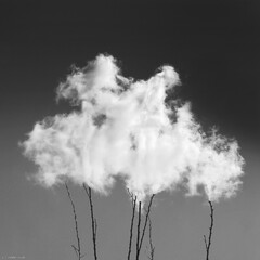 “Sky” by Mostafa Nodeh.