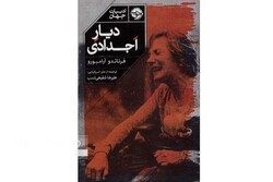 Front cover of the Persian translation of Fernando Aramburu’s novel “Homeland”.