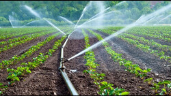 Optimal cultivation key to preserve water resources