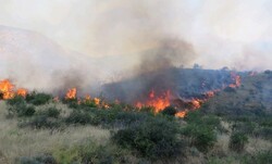 Wildfire in Golestan National Park extinguished