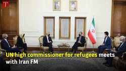 UN high commissioner for refugees meets with Iran FM