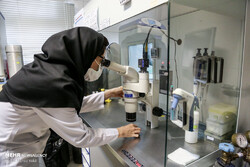 481 Iranians among world’s most cited researchers
