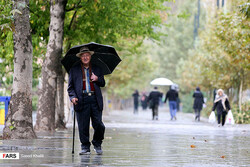 Long-term rainfall down by 34% in autumn