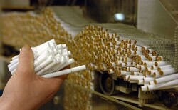 Cigarette production