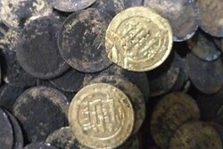 290 Sassanid coins recovered in Kermanshah