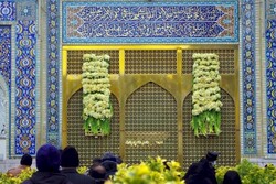 donating daffodils to Imam Reza (AS)’s holy shrine