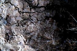 rock-carved inscription