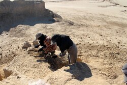 Archaeological work begins near Burnt City