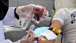 Blood donation increases by 13.37%