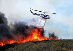 Budget to prevent wildfires up by 10-fold