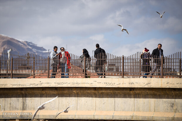 Shiraz Khoshk River hosts flocks of gulls