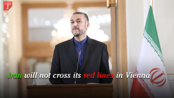 Iran will not cross its red lines in Vienna