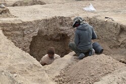 Iran to host intl. conference on archaeology