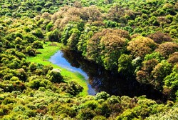 Land title issued for over 9,000 hectares of Golestan National Park