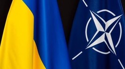 NATO wants bloodshed in Ukraine to continue