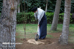 Ayatollah Khamenei highlights clean energy development, environmental protection