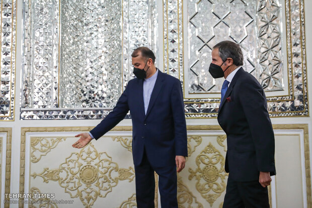 IAEA DG. meets with Iran’s top diplomat