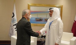 Kharrazi and Al Thani shake hands
