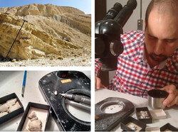 Discovery of millennia-old fossils may lead to a biodiversity hotbed in Iran