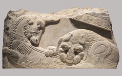  Made of limestone, the “Relief with a Lion and Bull in Combat” is on display at the Getty Villa as part of the exhibition “Persia: Ancient Iran and the Classical World.” (Photo: Michael Tropea)