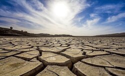 Drought causes $107m damage to environment