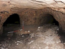 Ancient potteries discovered in underground shelter