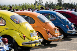 Hundreds of Volkswagens gathered in car rallies across Iran