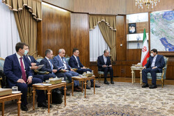 Russian deputy PM meets Iran's VP