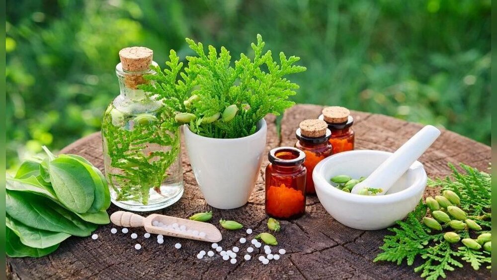 Medicinal herbs effective in COVID-19 treatment hit markets