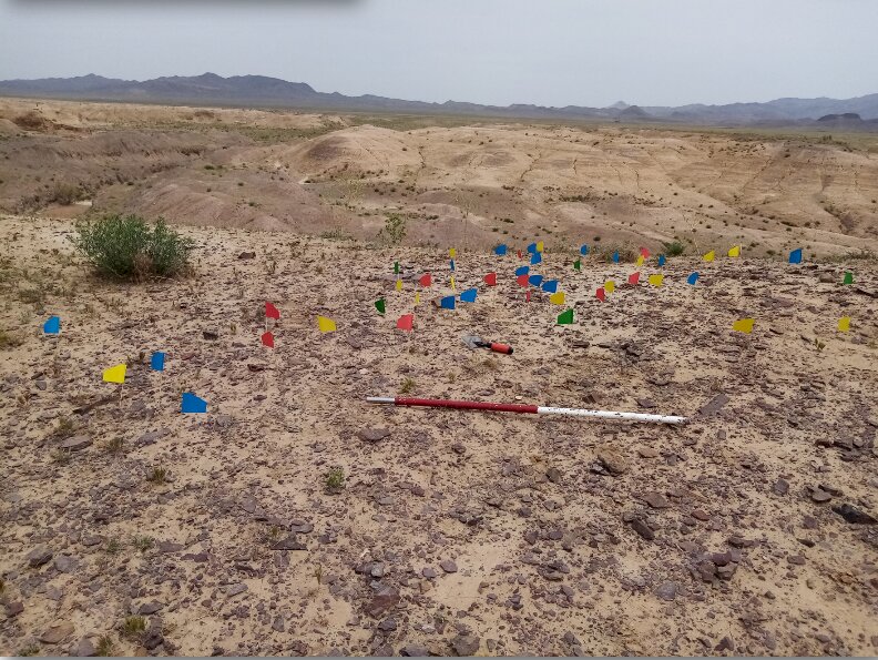 Archaeologists start tracing Paleolithic sites on eastern Iranian plateau