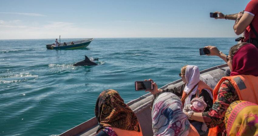 Mazandaran tourism in need of clear, inclusive roadmap, official says