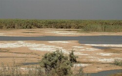 43% of wetlands to become dust-rising hotspots