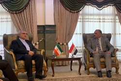 Iran, Iraq to develop market for health products