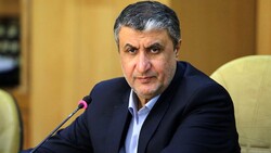 Iran's nuclear chief Eslami