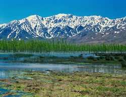 Gandoman wetland