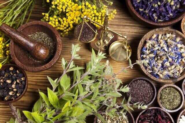 Nanotechnology improves medicinal plant extracts