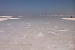 Human factors hold 69% share in drying of Lake Urmia