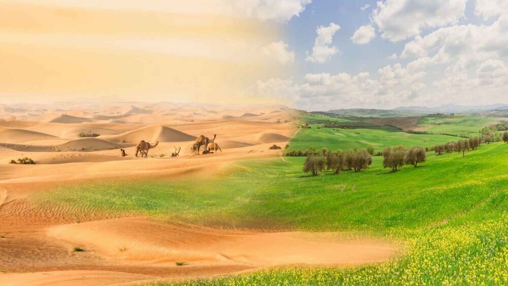 Droughts may affect three-quarters of the world by 2050