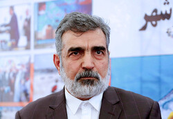 Iran's nuclear spokesman