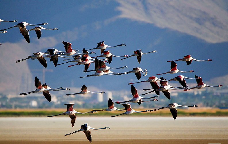 Meiqan Wetland