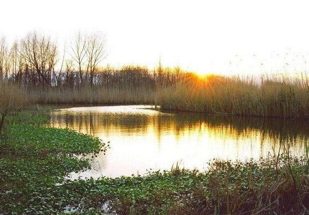 Finland seeks to rehabilitate Anzali Wetland