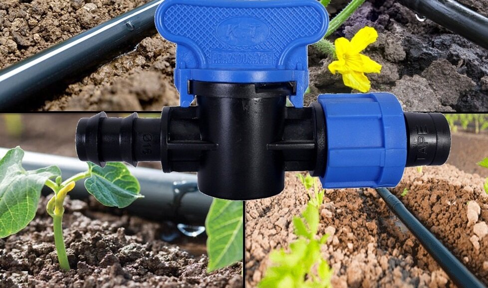 irrigation