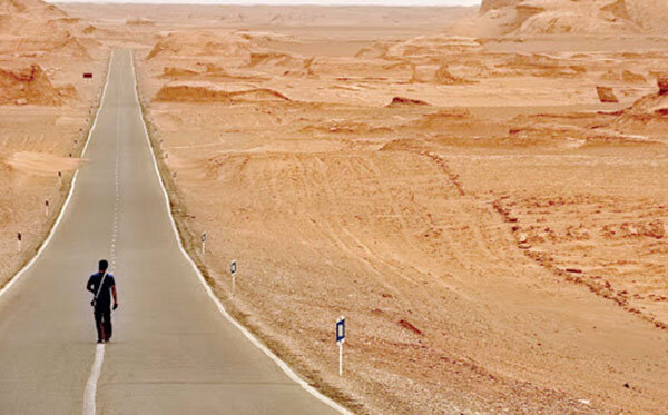 How desertification control affects rural migration?