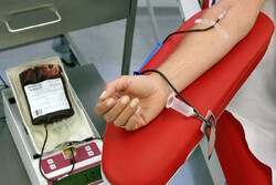 Iranians donate 13% more blood