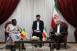 Iran ready to provide scientific, research experiences to Mali